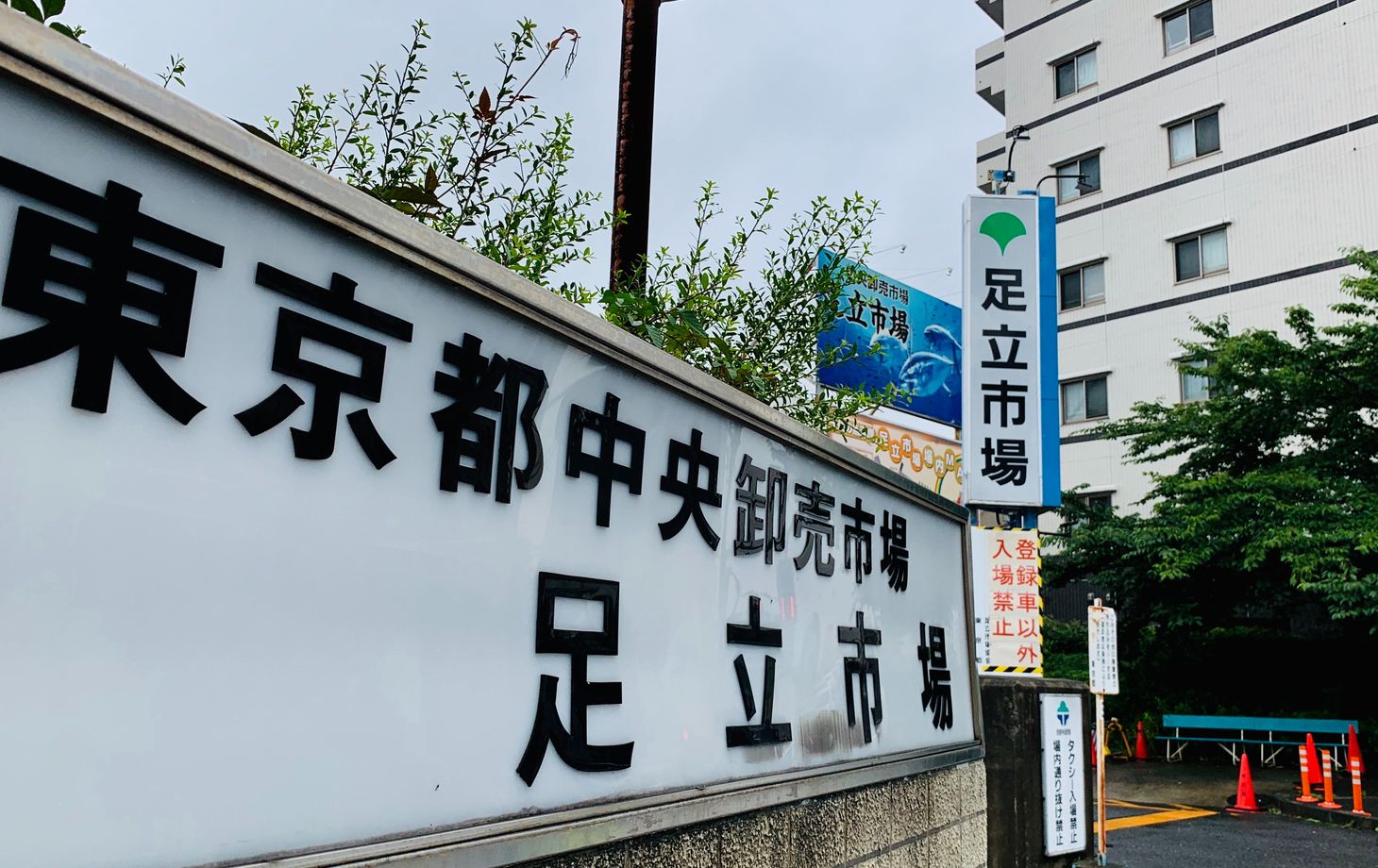 Tokyo Fish Market Tour + Craft Japanese Nigiri Sushi