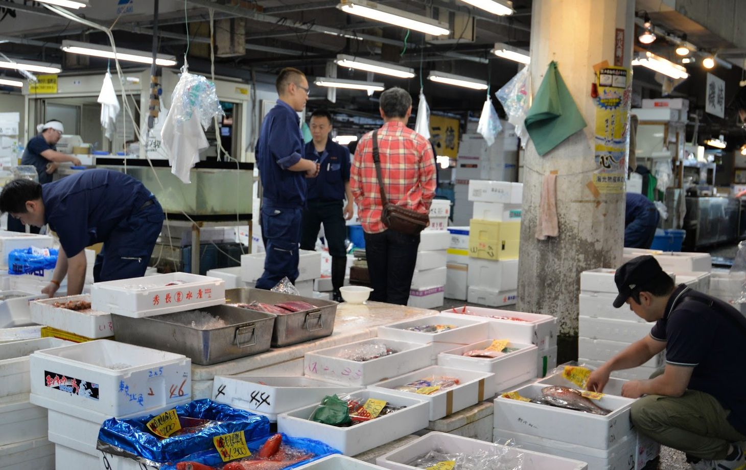 Tokyo Fish Market Tour + Craft Japanese Nigiri Sushi