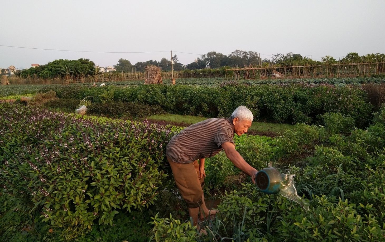 Farm Tour and Private Home Cooking Class with Local Family