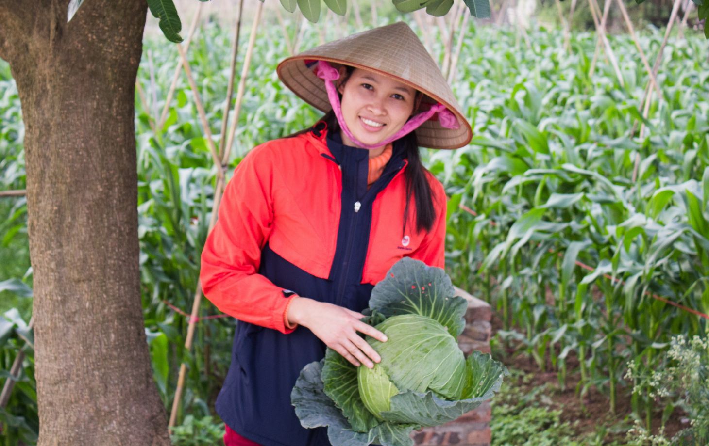 Farm Tour and Private Home Cooking Class with Local Family