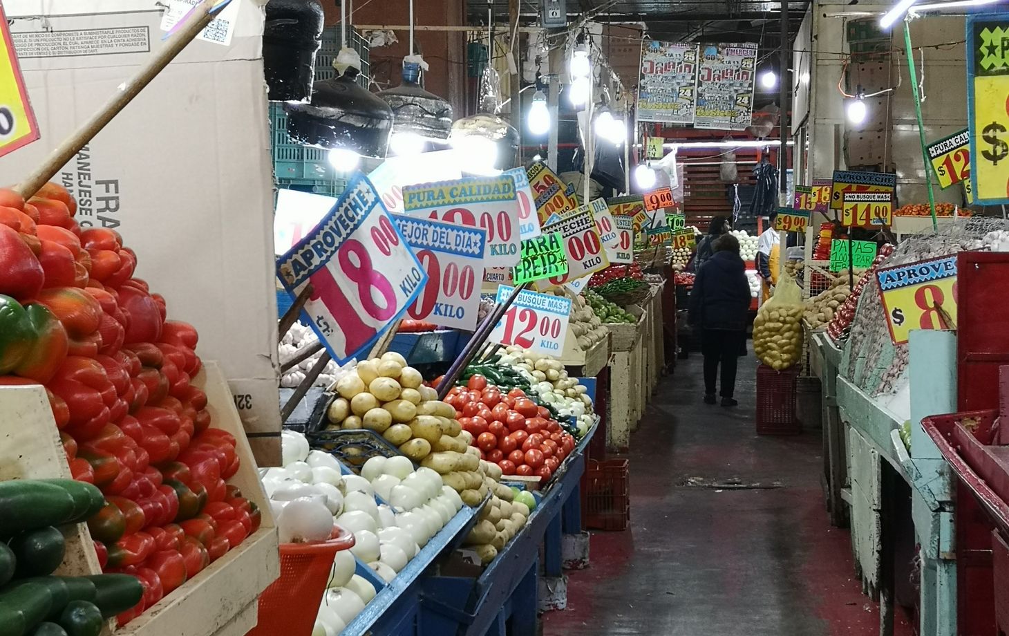 Ultimate Market Experience in Mexico City: Explore 3 radically different markets with an expert guide