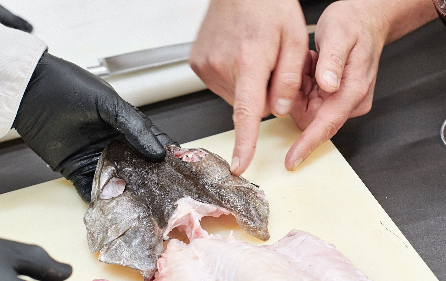 Market tour and fish and seafood cooking class
