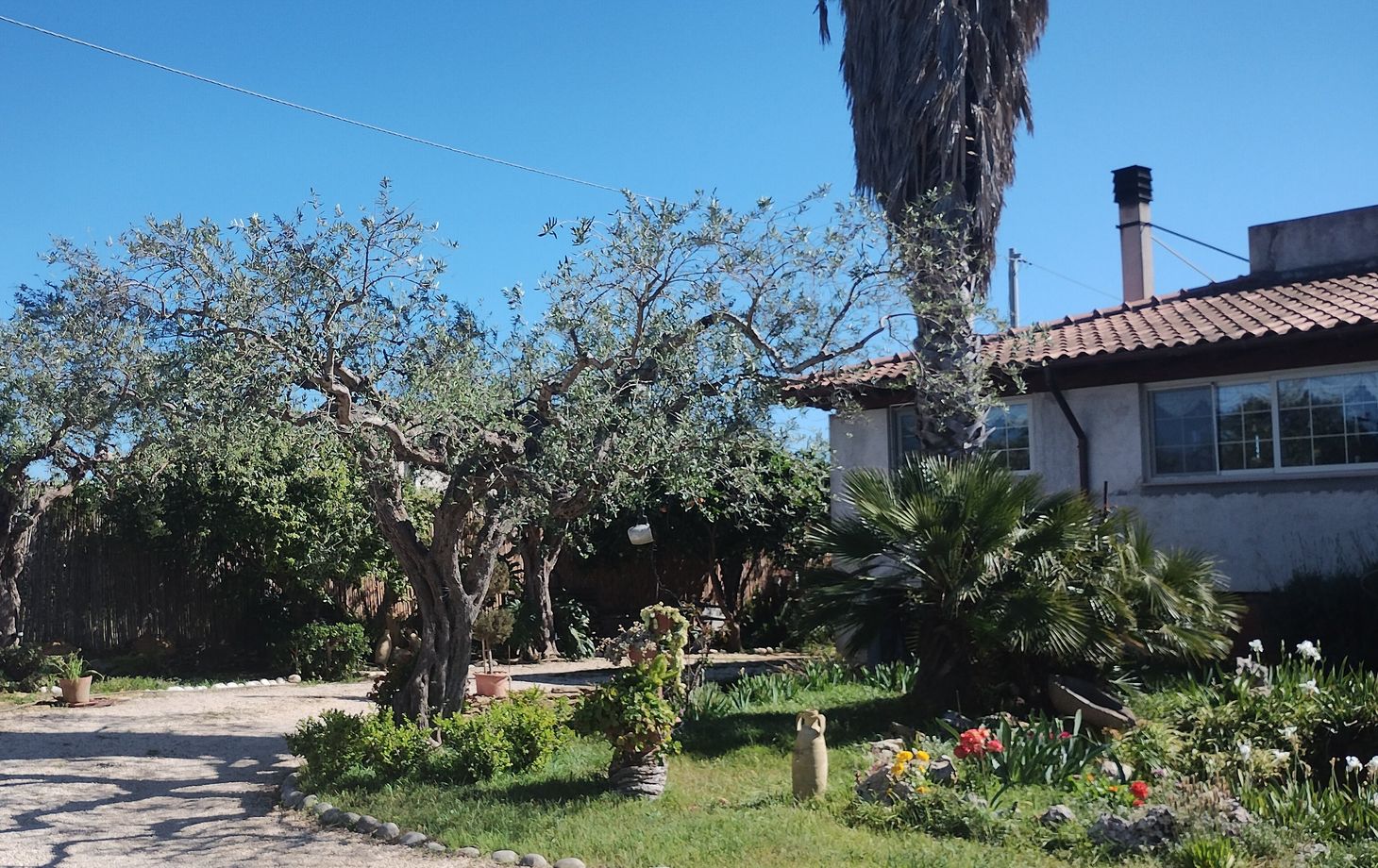 Traditional Fresh Pasta Cooking Masterclass in Sciacca