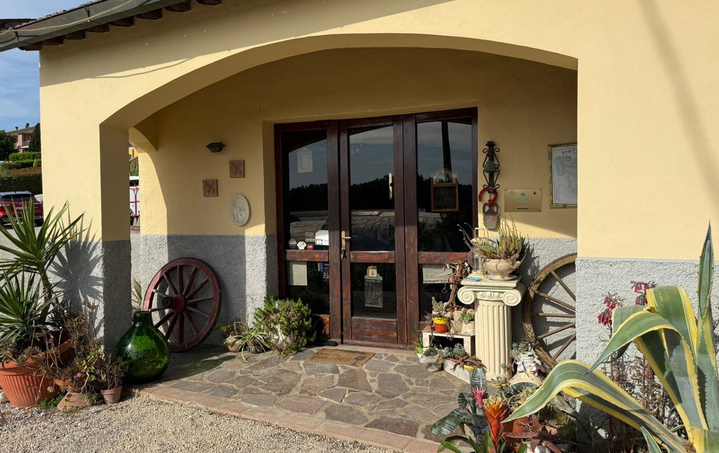 Master Tuscan Wine Experience: From Vineyard Walk to Guided Tasting