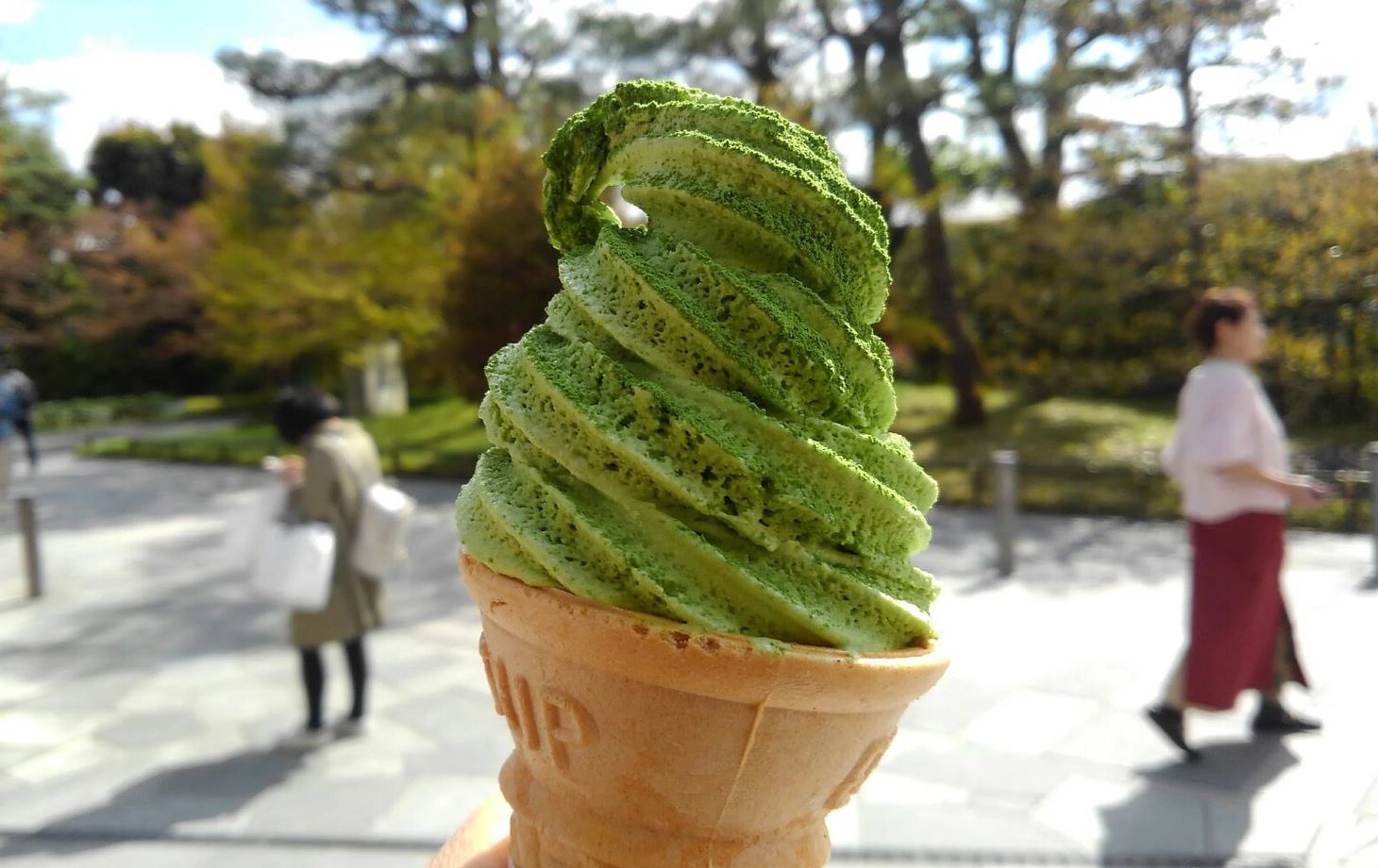 Matcha Green Tea Tour in Uji Kyoto with Temple Visit