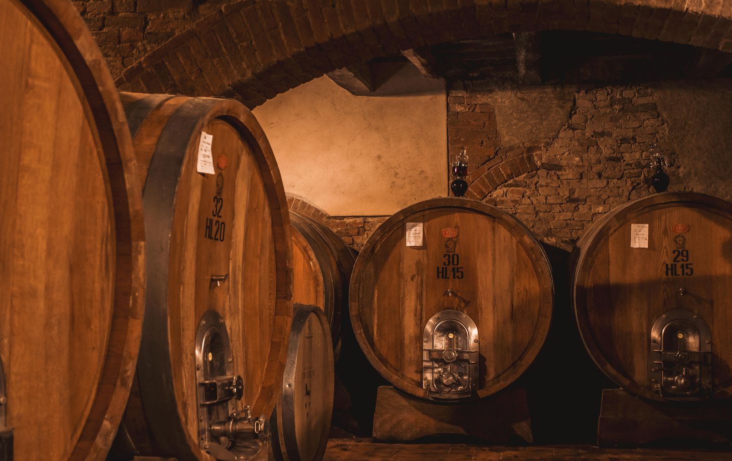 Tour of Montalcino Castle and Vineyards with Wine Tasting