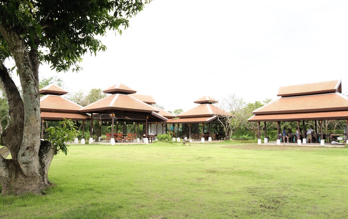 Morning Class in Traditional Pavilion with Beautiful Garden