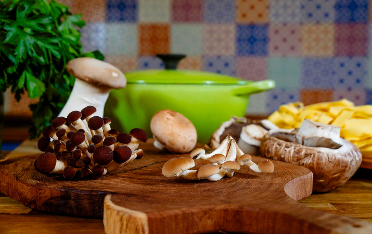 Hands-On Mushroom Cooking at a Monferrato Farmhouse with Alpine Views