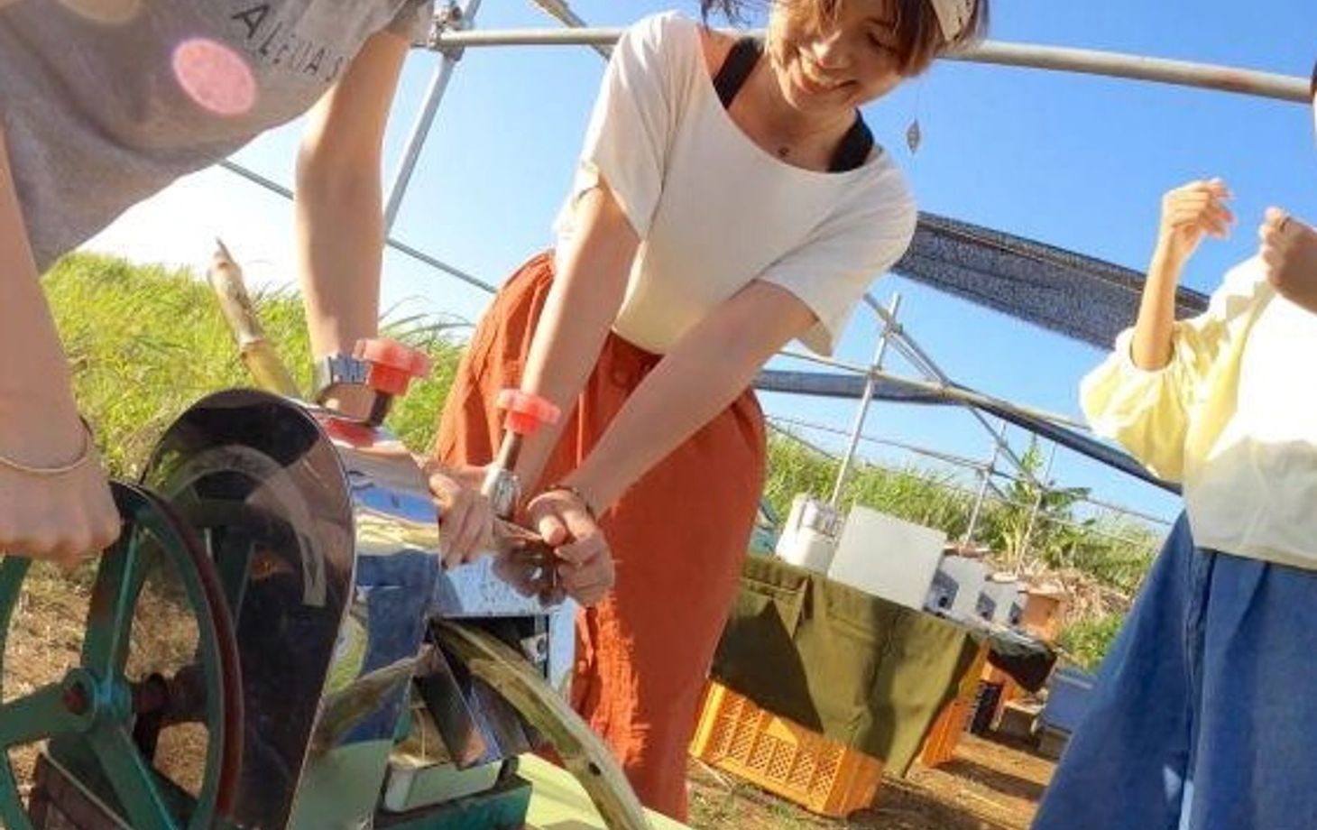 Okinawan Dessert Making: Fresh from the Farm