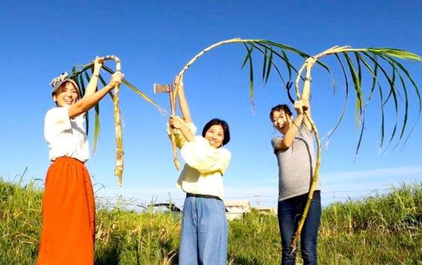 Okinawan Dessert Making: Fresh from the Farm