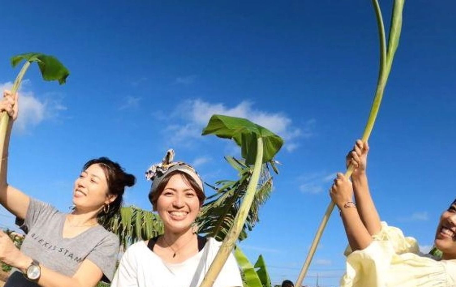 Okinawan Dessert Making: Fresh from the Farm