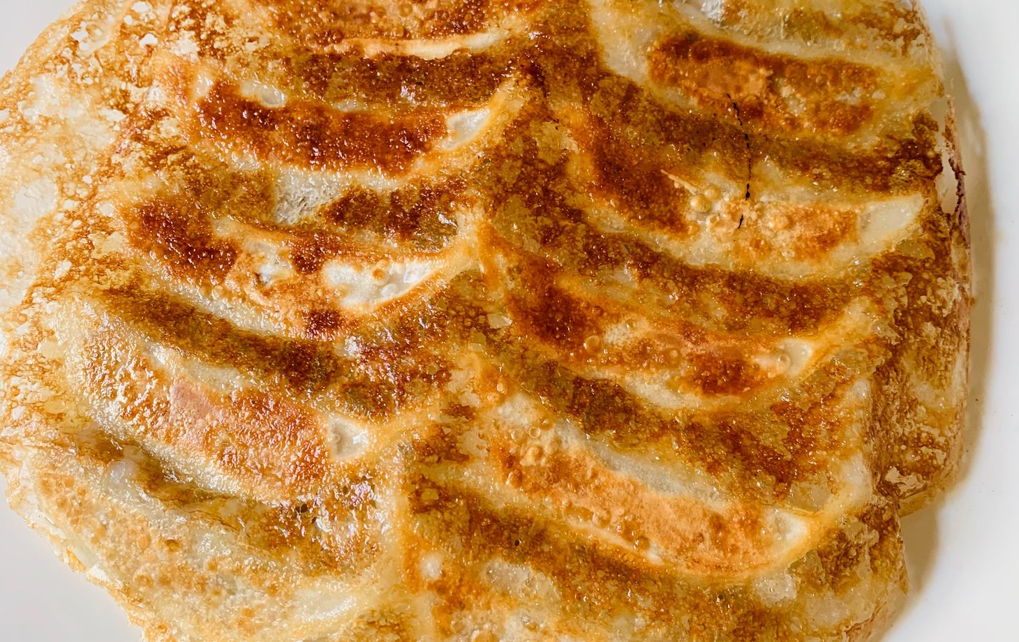 Homemade Okonomiyaki and Gyoza Culinary Class in Nagoya