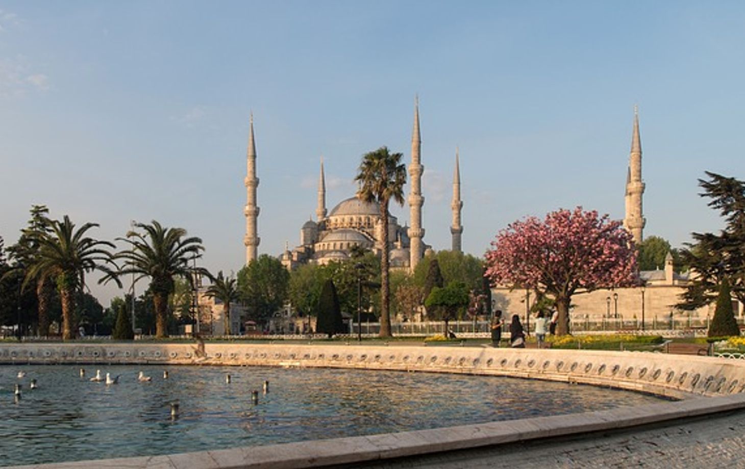 Formule combinant visite du marché fermier de la vieille ville et cours de cuisine à Sultanahmet le mercredi