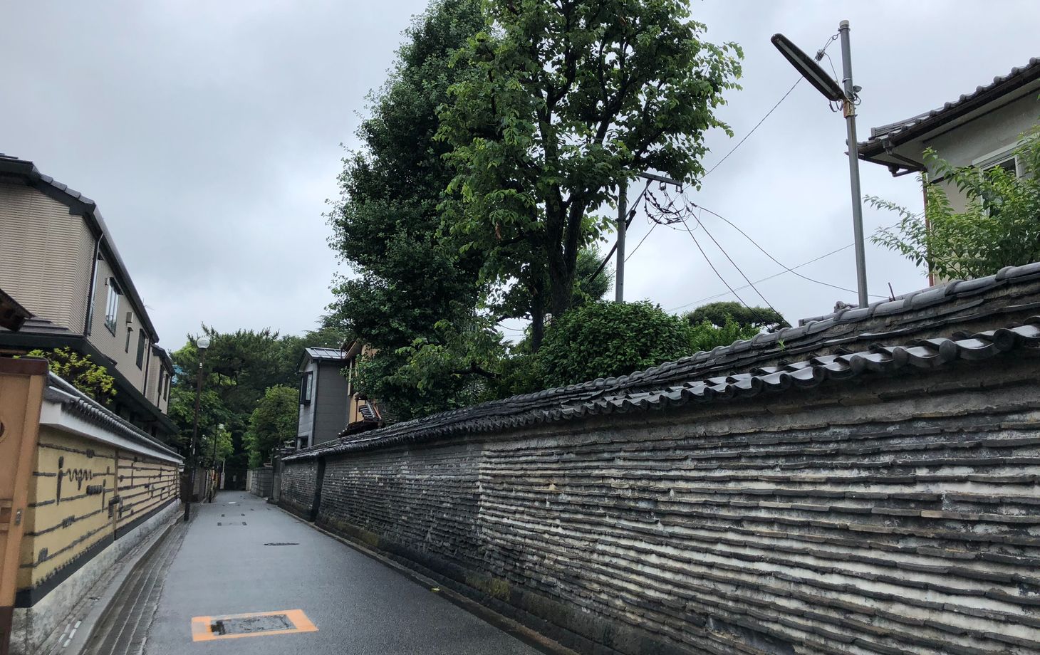 Visite gastronomique de la vieille ville de Tokyo (Yanaka)