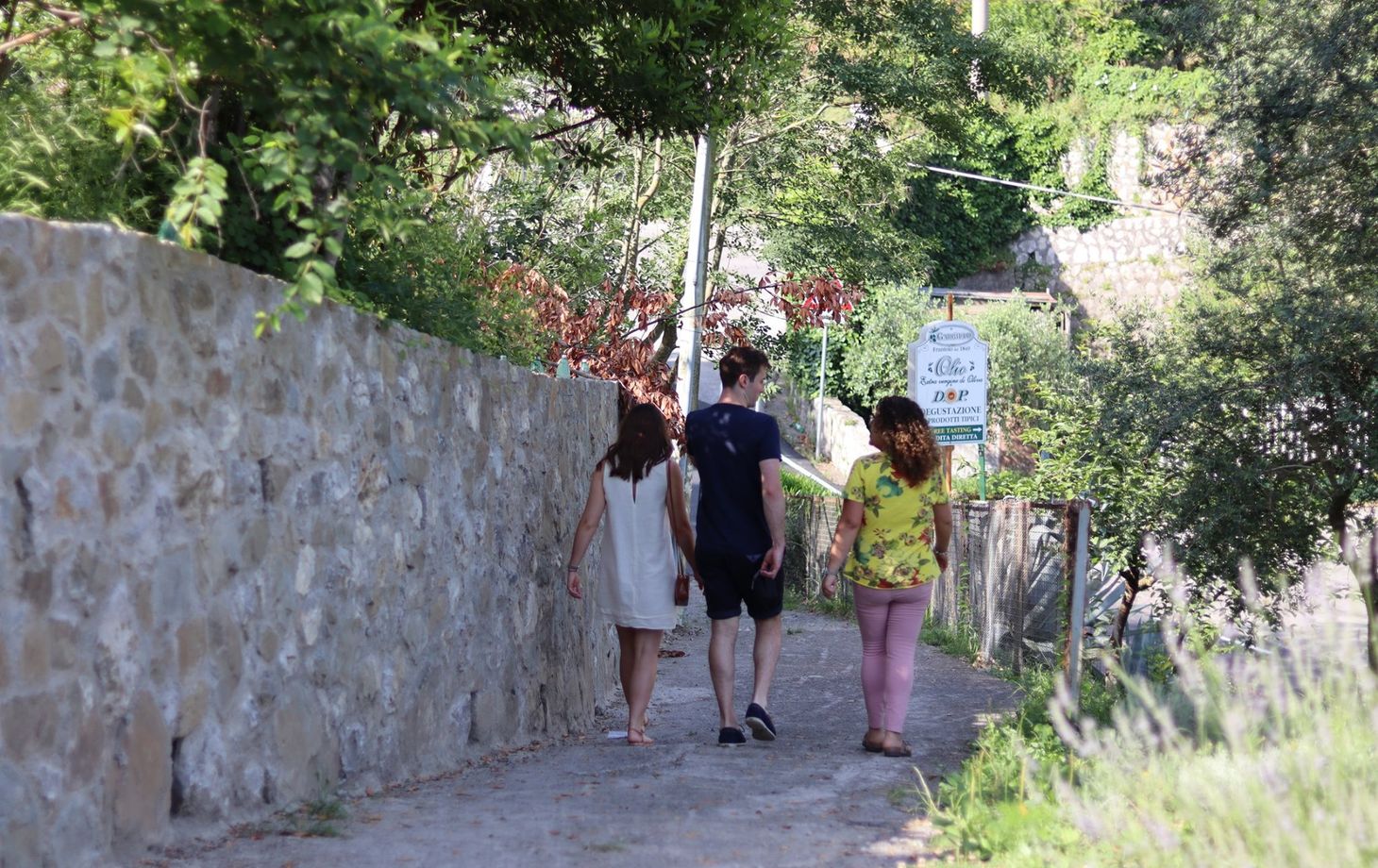 Expérience oléicole et dégustation de spiritueux à Sorrente