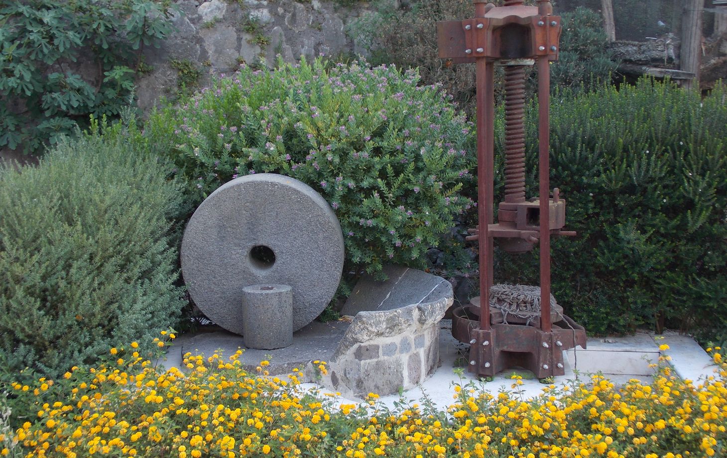 Expérience oléicole et dégustation de spiritueux à Sorrente