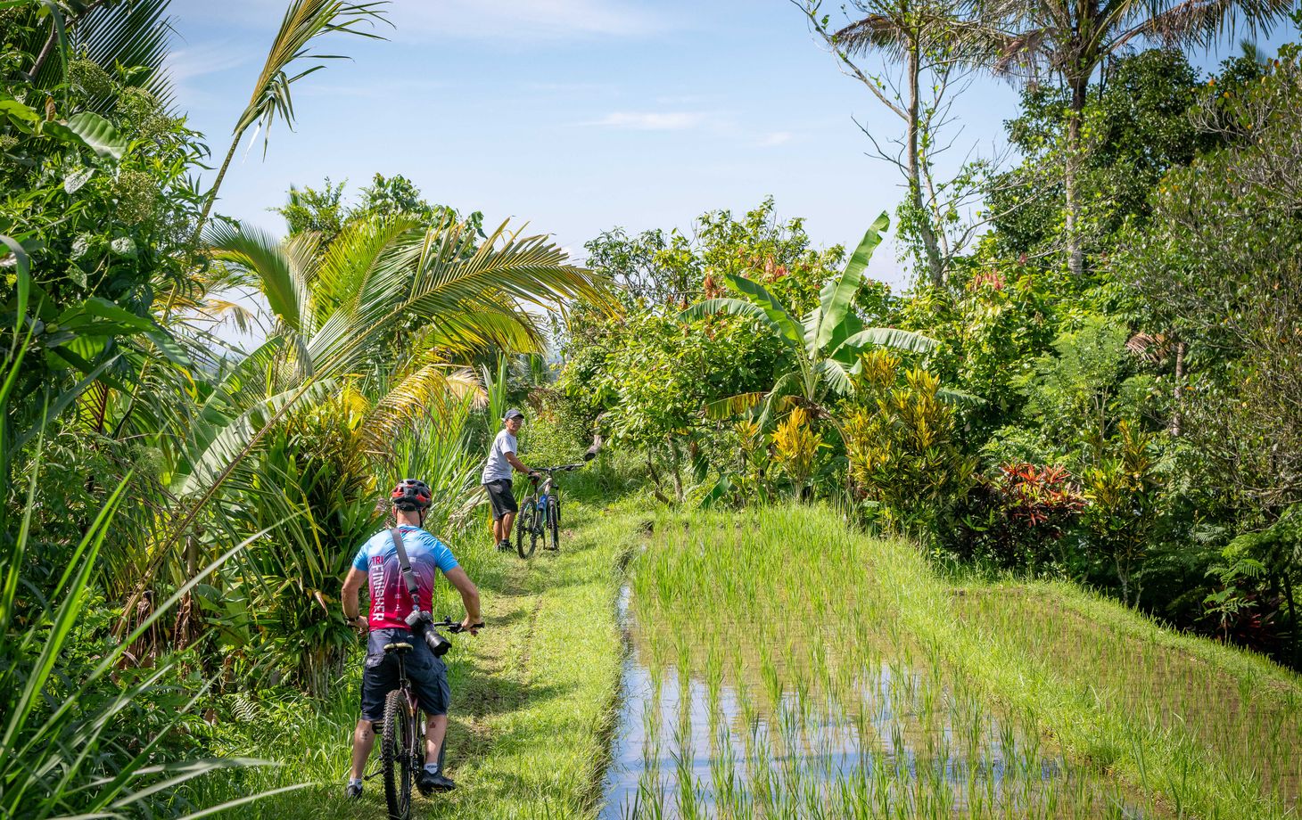 Organic and Authentic Balinese Cooking Class With Cycling in Jatiluwih Rice Terrace