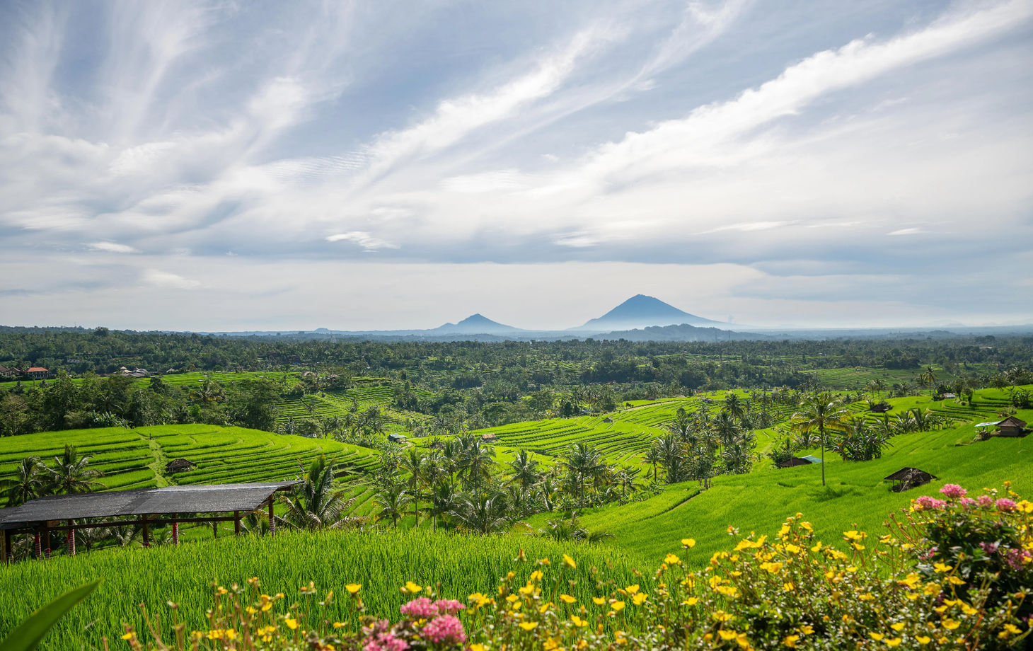 Organic and Authentic Balinese Cooking Class With Cycling in Jatiluwih Rice Terrace