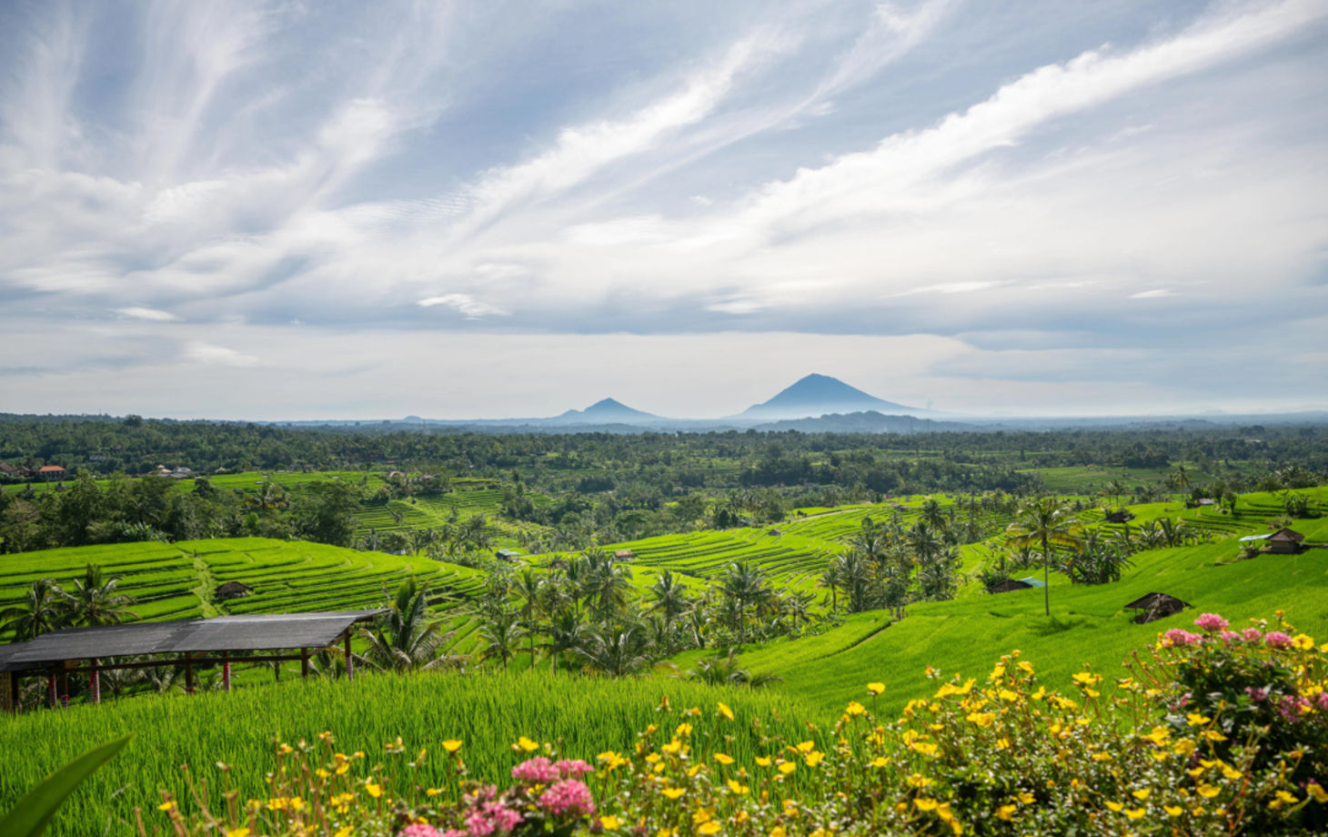 Vegan Balinese Cooking Class in the UNESCO-listed Jatiluwih Rice Terraces