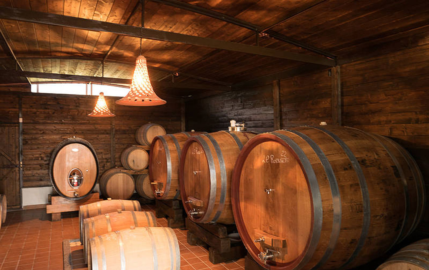 Organic "Classico" Wine Tasting with Lunch on Mount Vesuvius