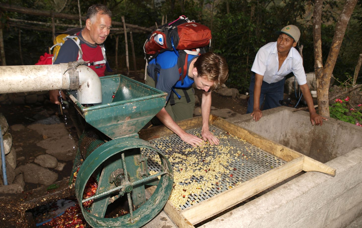 Spend a Day with the Locals at an Organic Coffee Farm