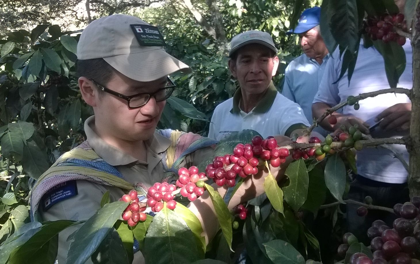 Spend a Day with the Locals at an Organic Coffee Farm