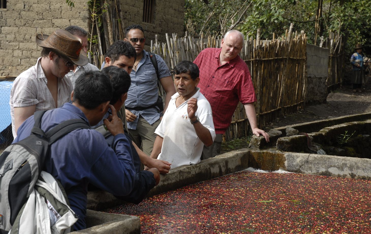 Spend a Day with the Locals at an Organic Coffee Farm