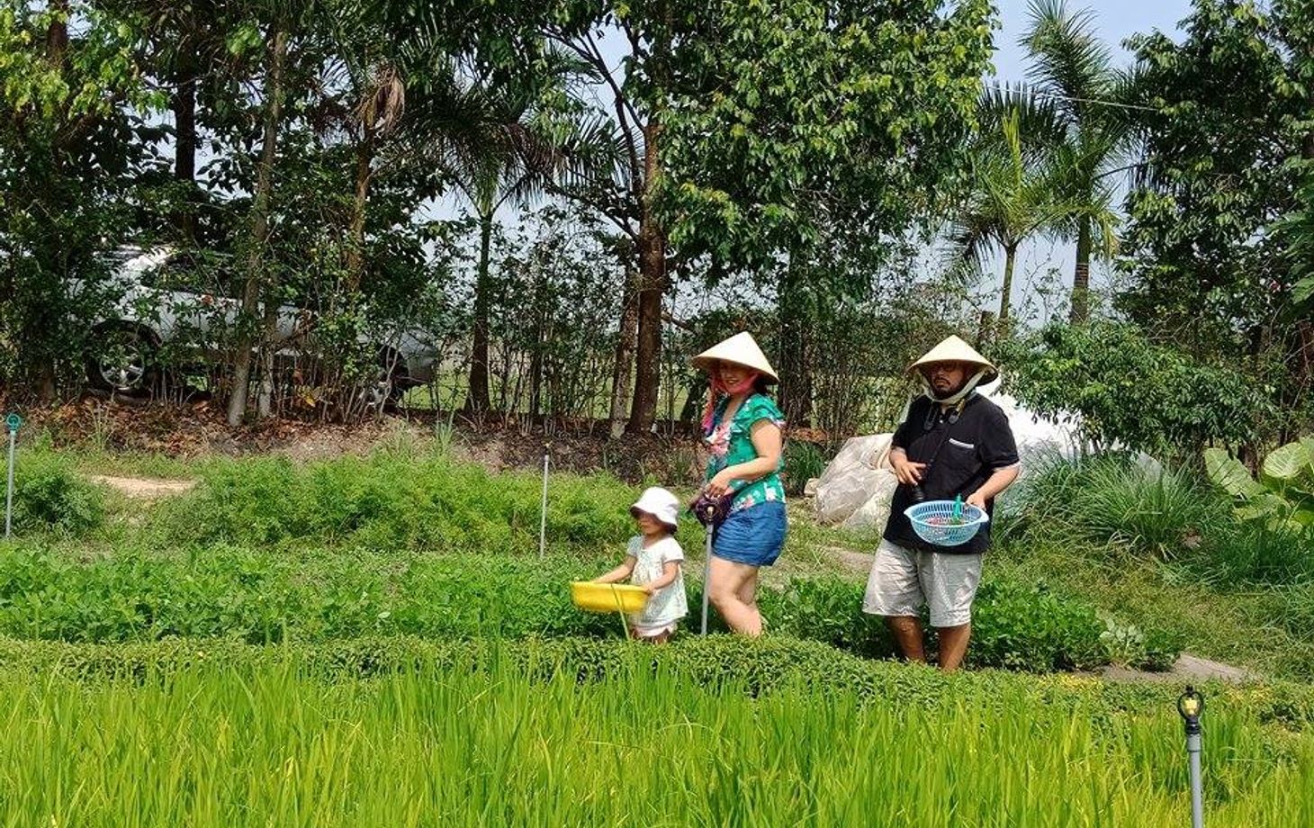 Bio Kochkurs - von der Farm zum Tisch - in vietnamesischem Dorf