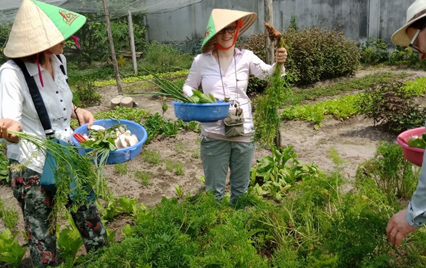 Bio Kochkurs - von der Farm zum Tisch - in vietnamesischem Dorf