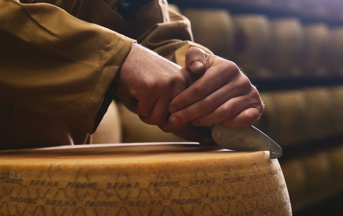 Experience Parmigiano Reggiano Cheese Tasting Tour in Parma
