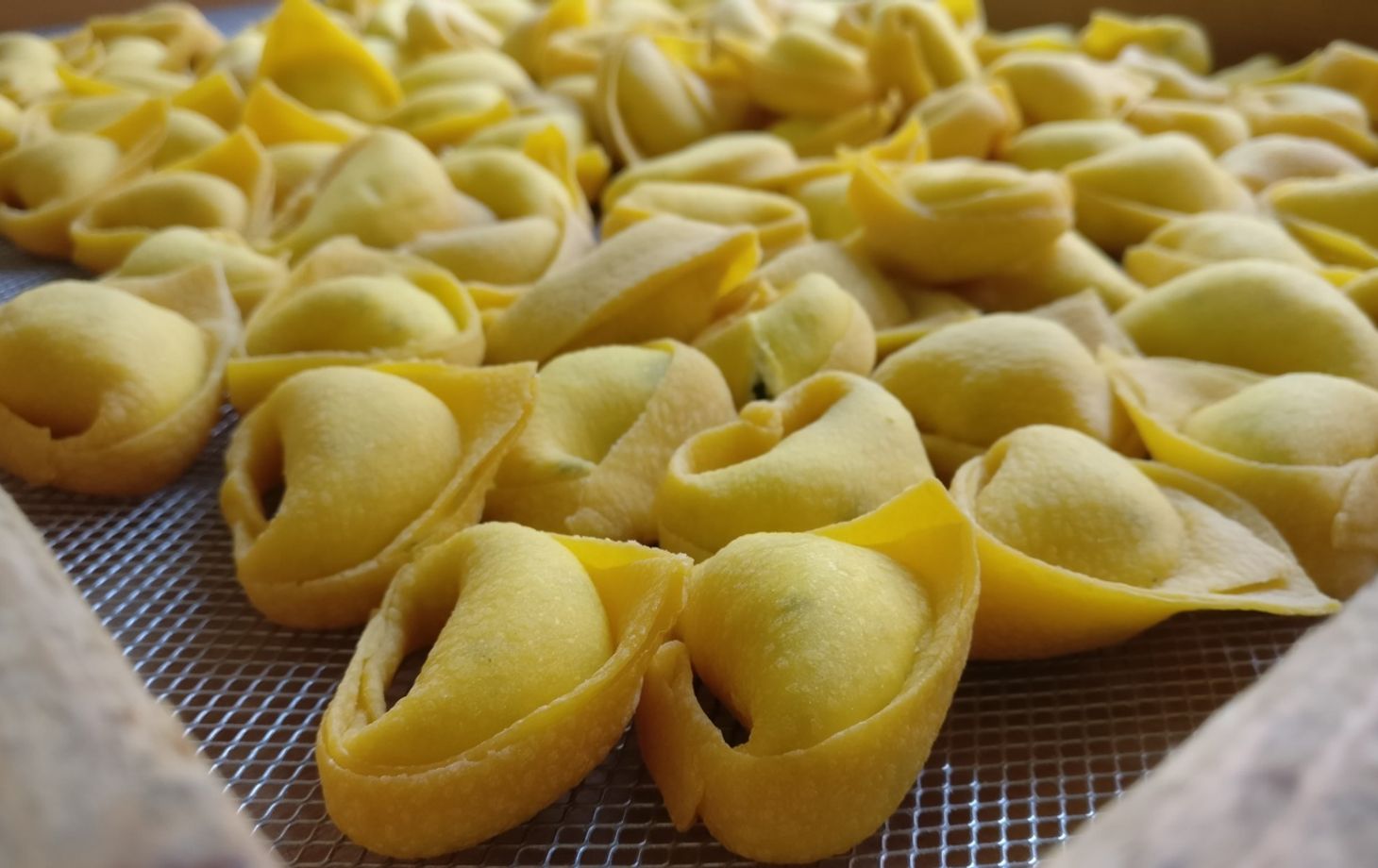 Bologna Pasta Making Class with Martina