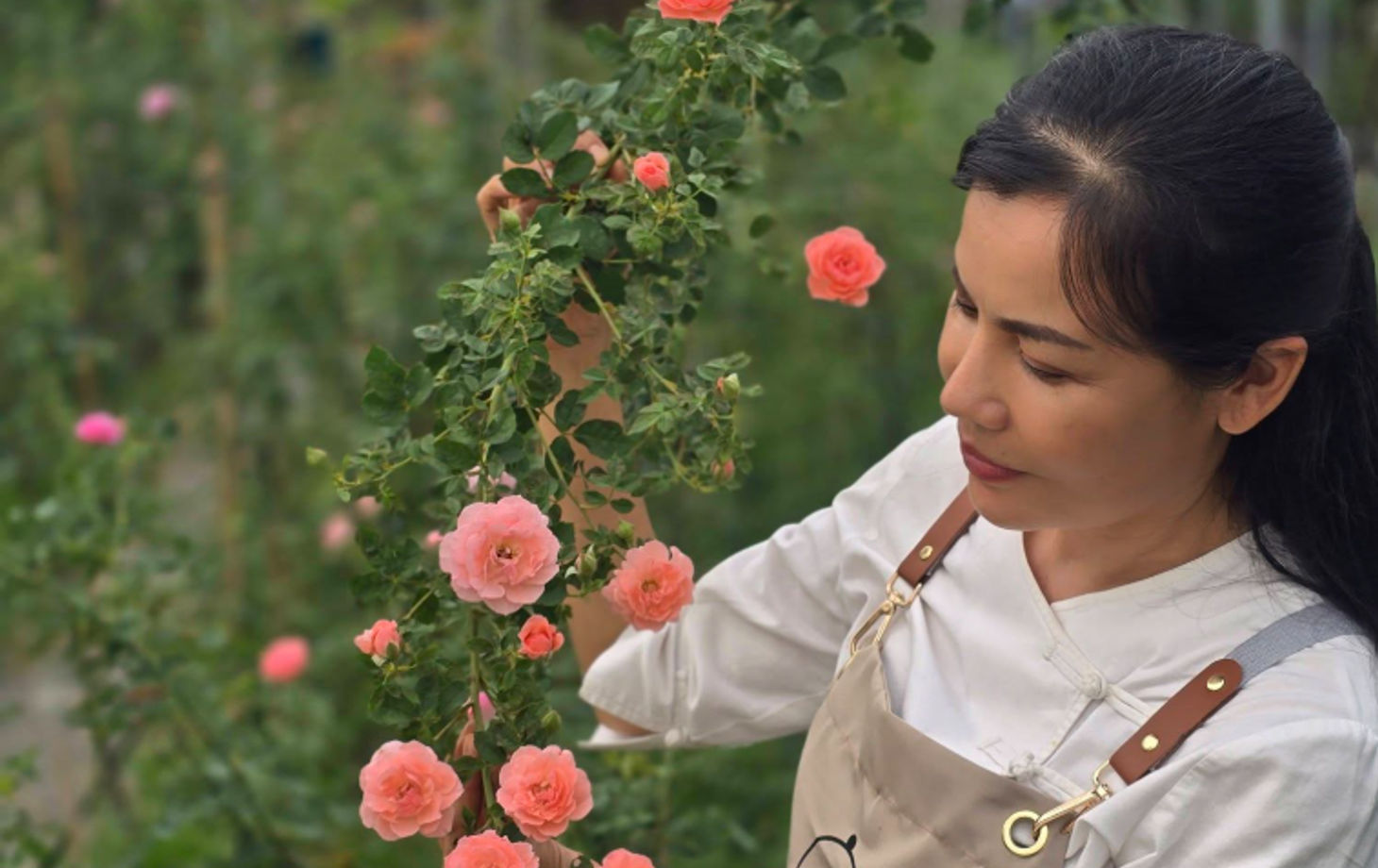Traditional Ayurvedic Cooking Class & Wellness Experience
