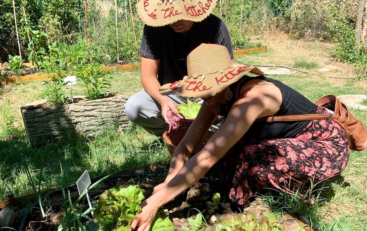 Experience Harvesting Vegetables and Pasta Culinary Class at a Tuscan Villa
