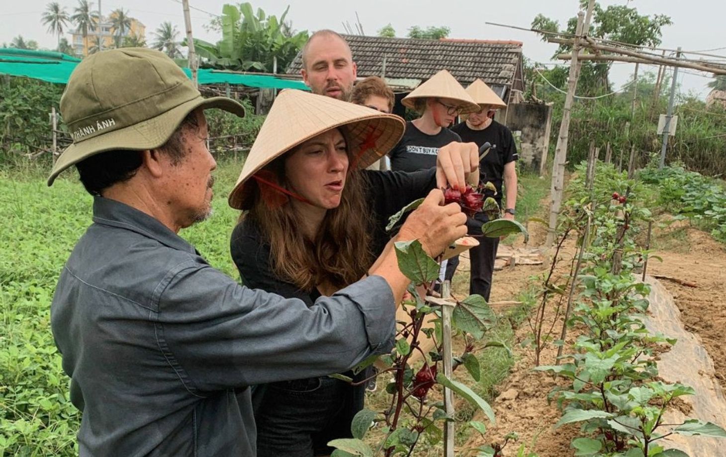 Plant-Based Cooking Class in Organic Farm with Market Tour
