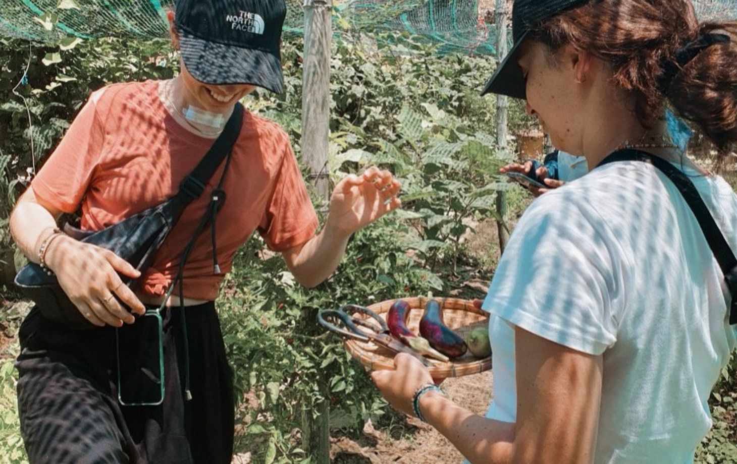 Plant-Based Cooking Class in Organic Farm with Market Tour