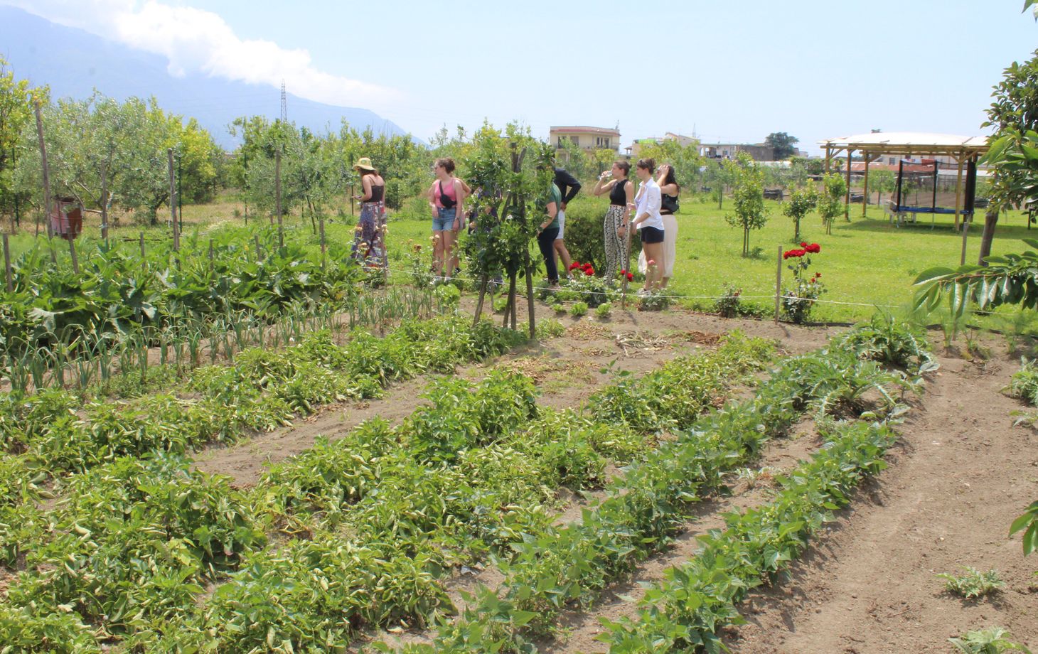 Pompei Culinary Class: Fresh Pasta and Wine Tasting