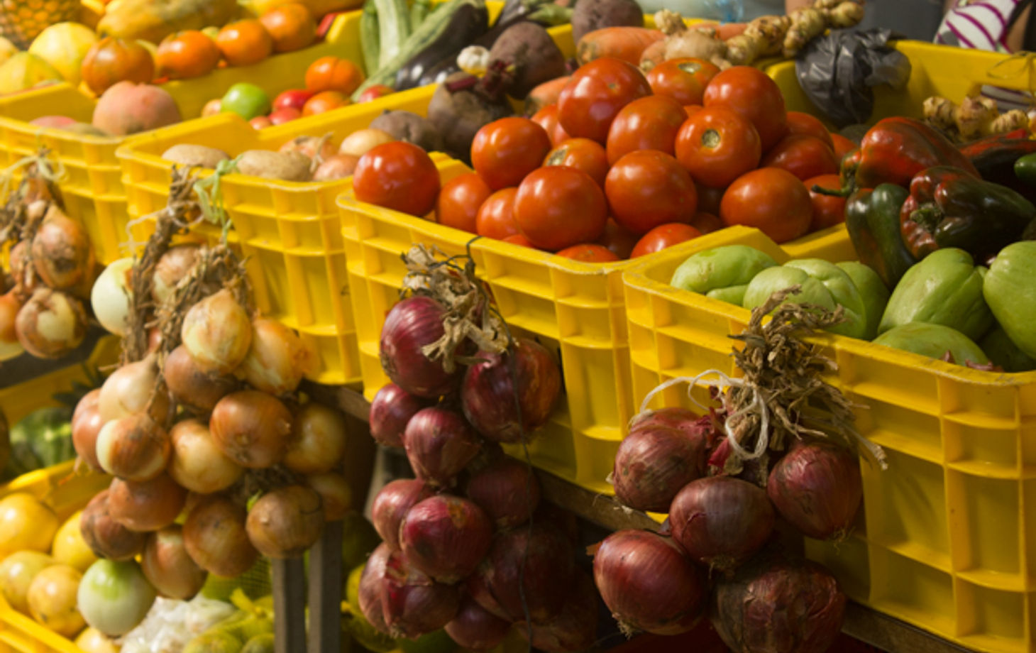 Private Cooking Experience in the Jungle on Saturdays + Local Farmers' Market Tour