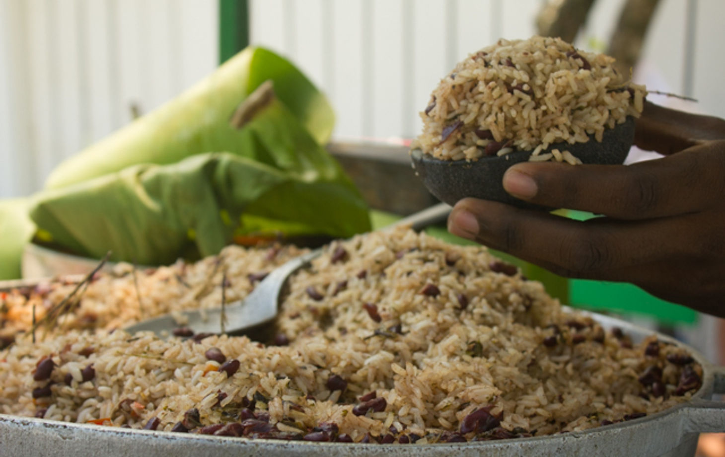 Private Cooking Experience in the Jungle on Saturdays + Local Farmers' Market Tour