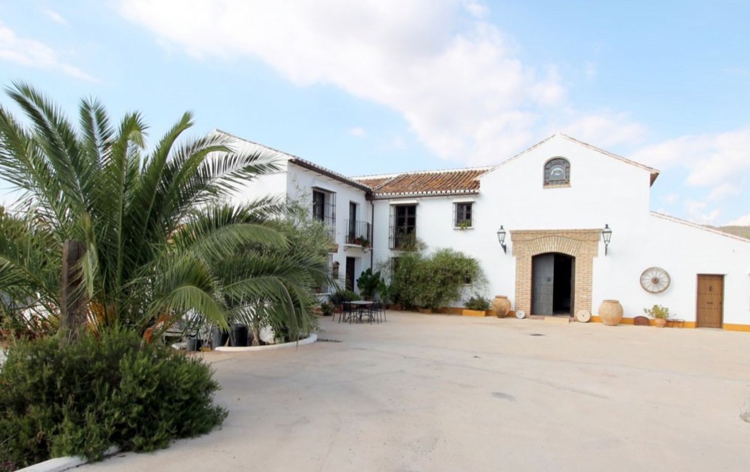 Private Olive Oil Tour with Full Breakfast and Olive Oil Tasting Included