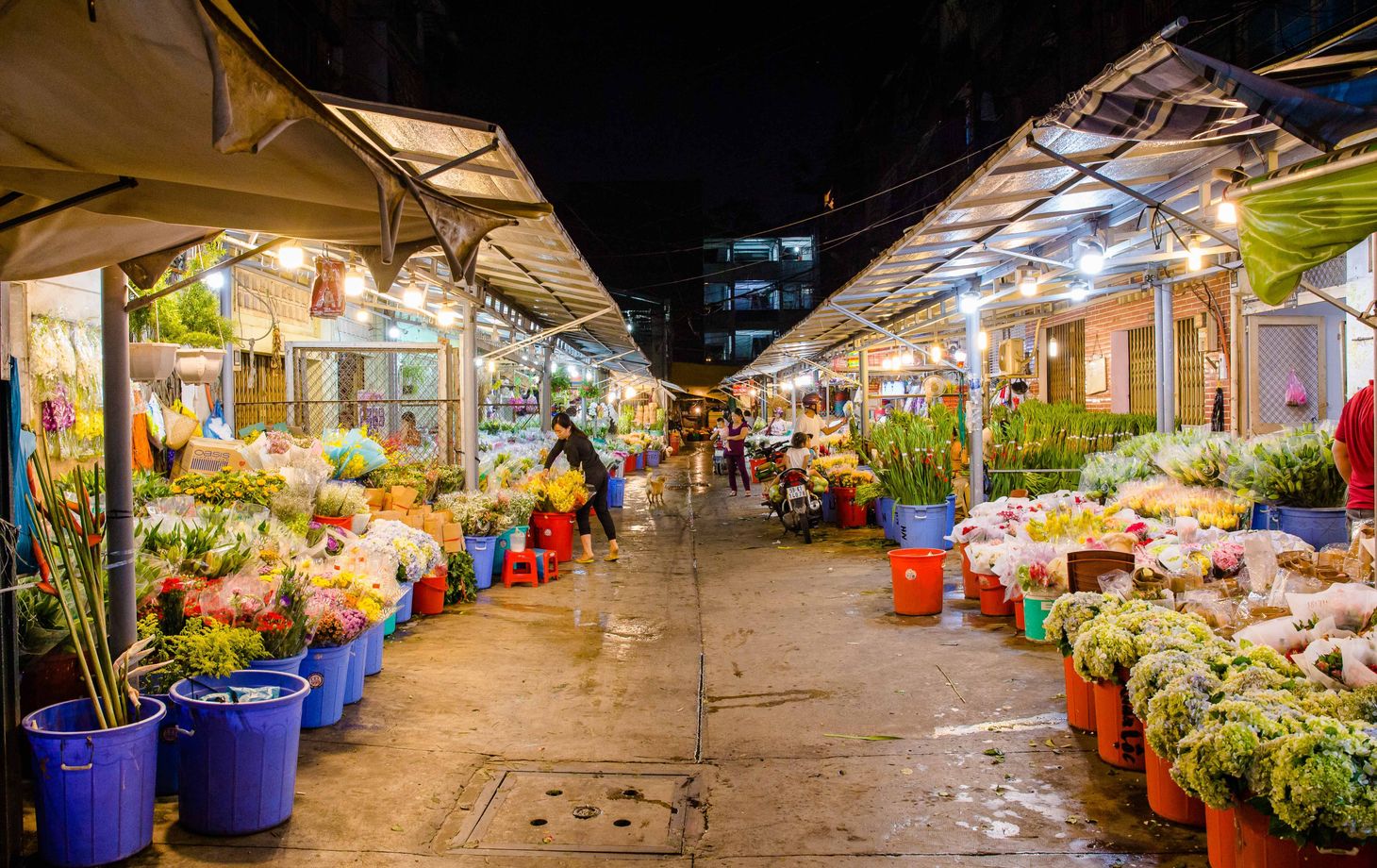 Private Vegan Food Tour By Scooter