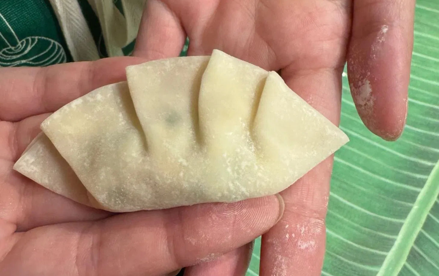 Private Vegan Ramen and Gyoza Cooking Experience in Kyoto