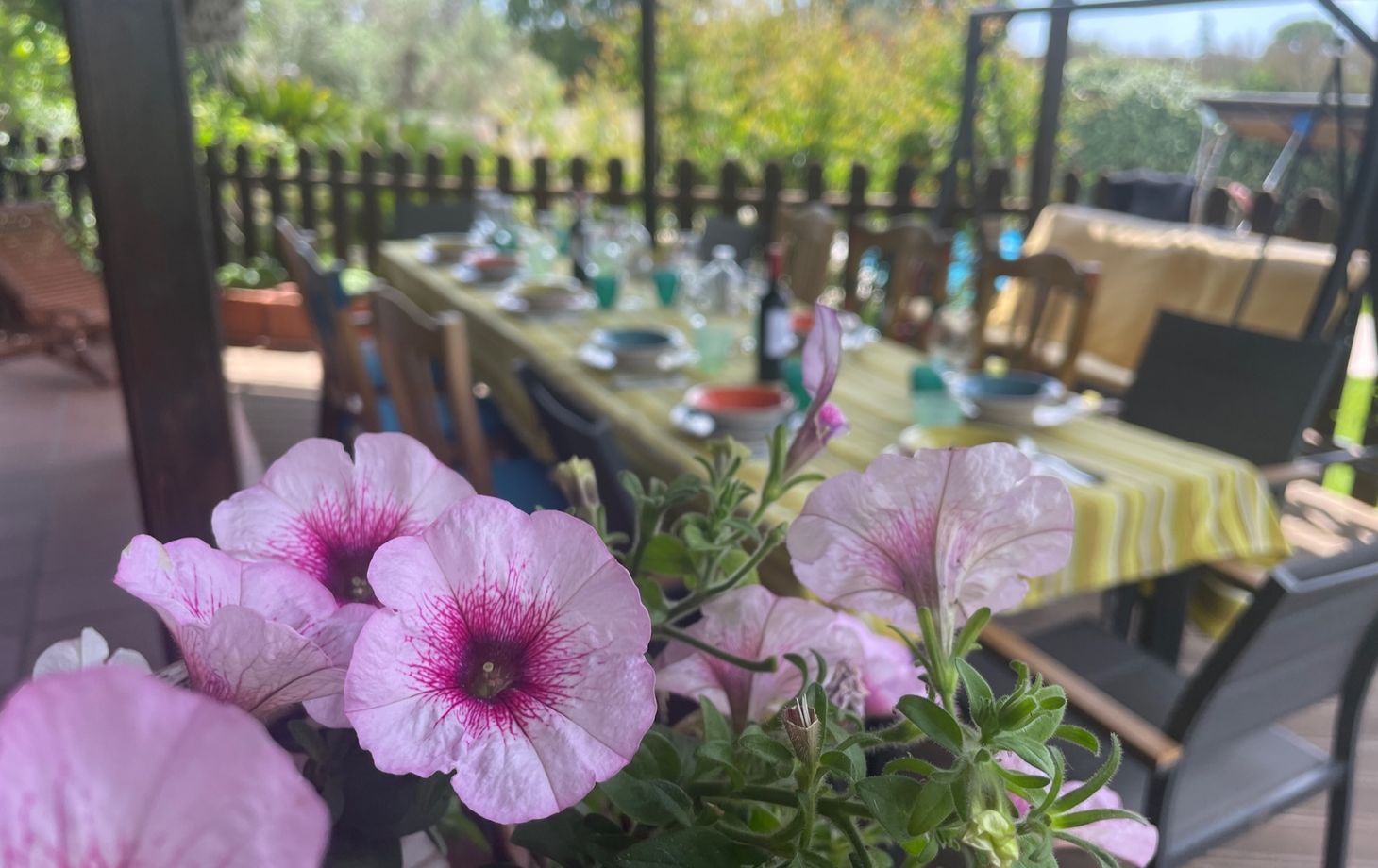 Italian Cooking Experience with Wine Tasting in Lecce