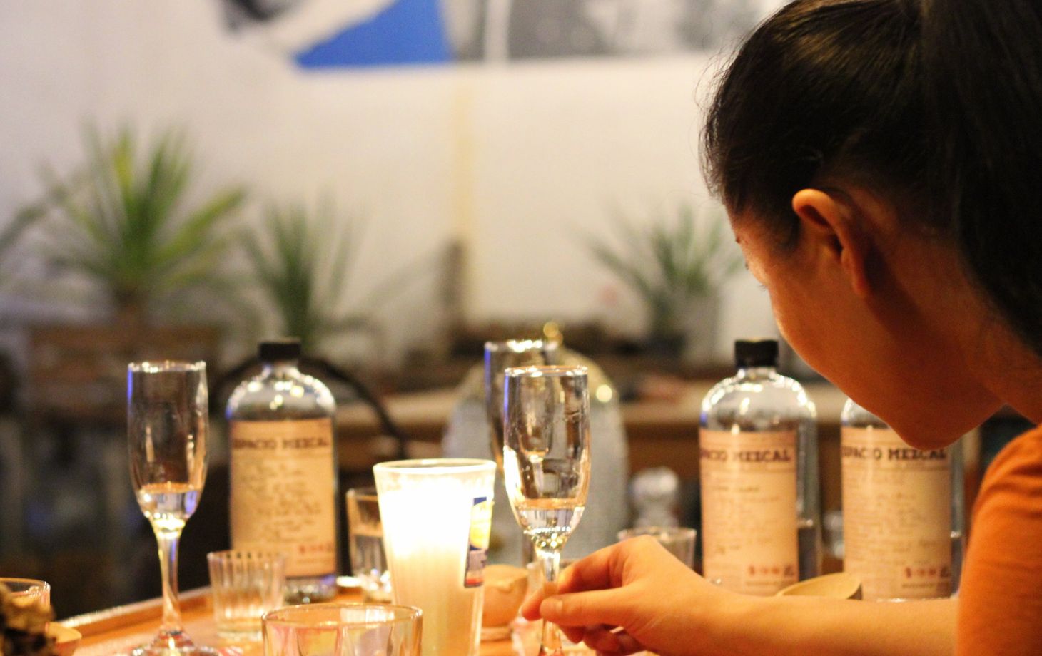 From Agave to Glass: Organic Mezcal Experience
