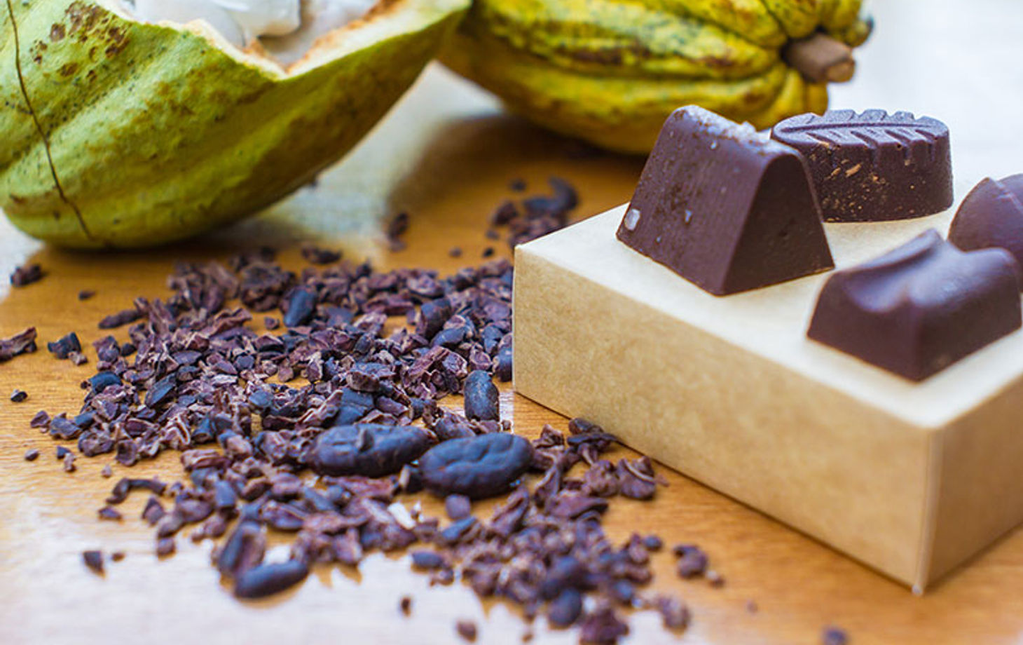 Rainforest Tasting Experience: An Adventure Through the Flavors of the Jungle