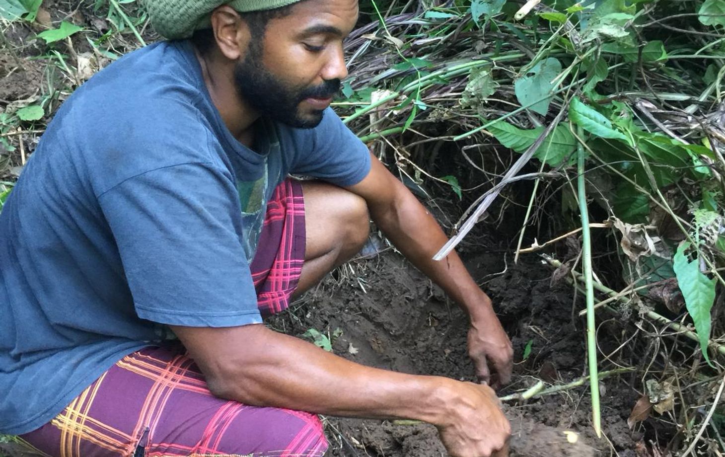 Rainforest Tasting Experience: An Adventure Through the Flavors of the Jungle