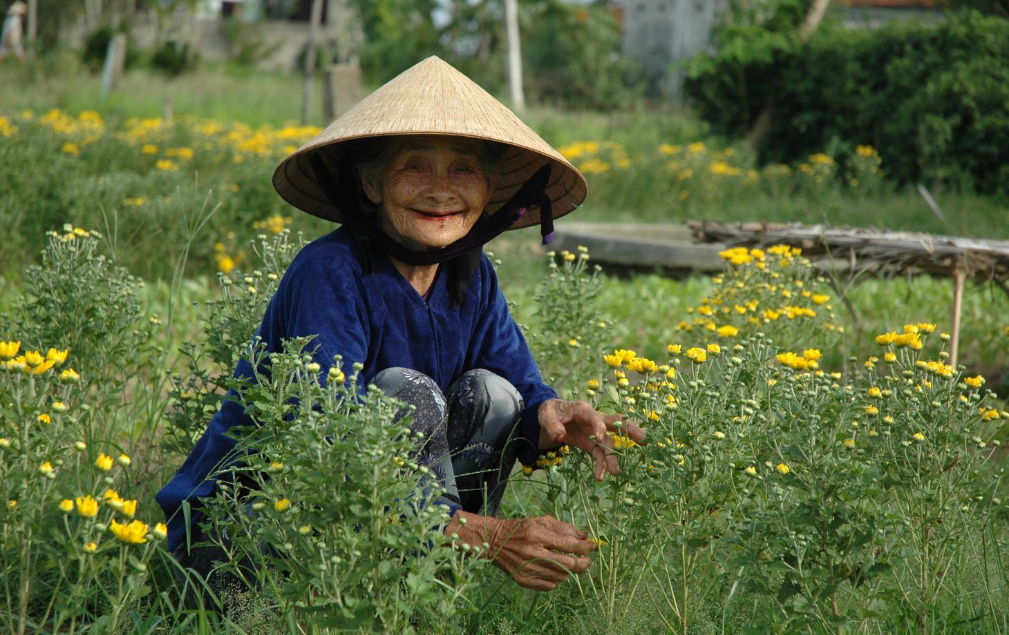 Red Bridge Deluxe Day Journey: Organic Farm, Boat Trip, Market Tour and Hands on Cooking of 4 Famous Vietnamese Dishes