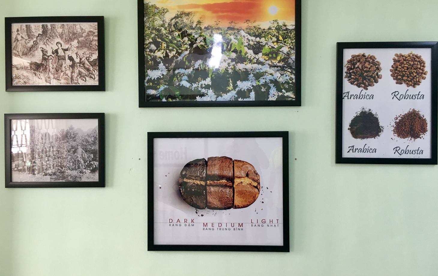 Tam Minh Tourism