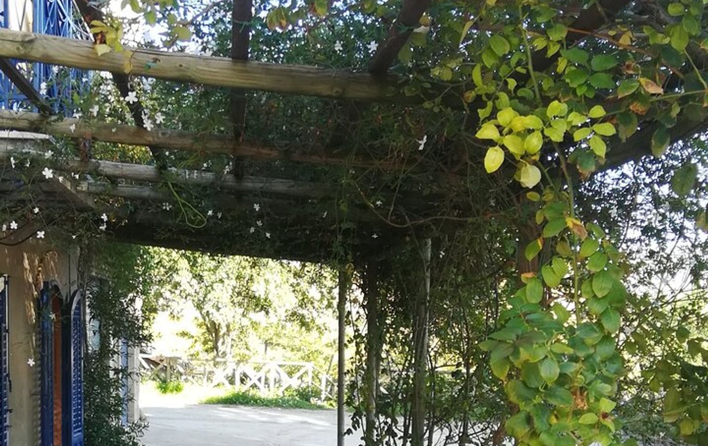 Sicilian Culinary Experience at the Country House