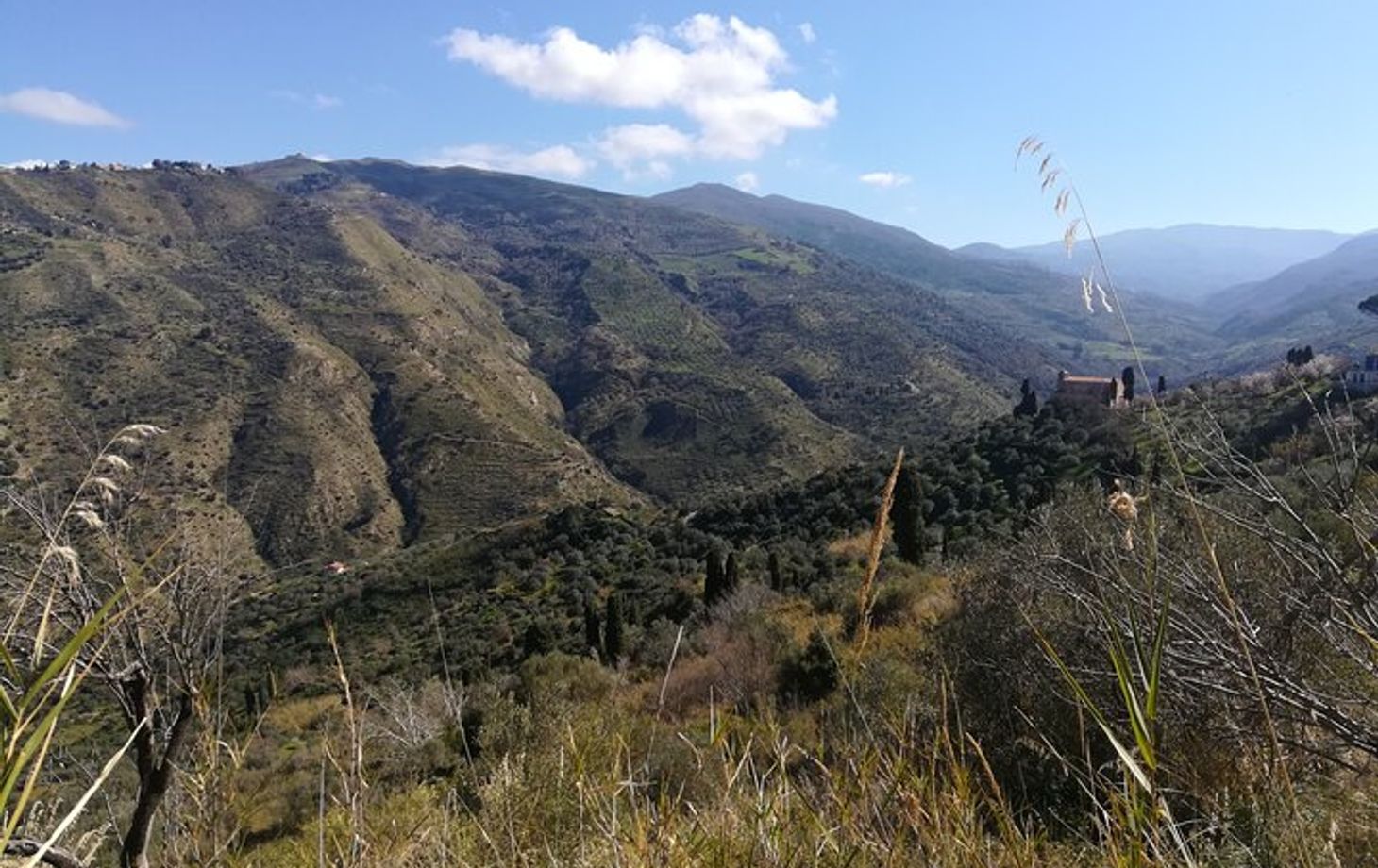 Sicilian Culinary Experience at the Country House
