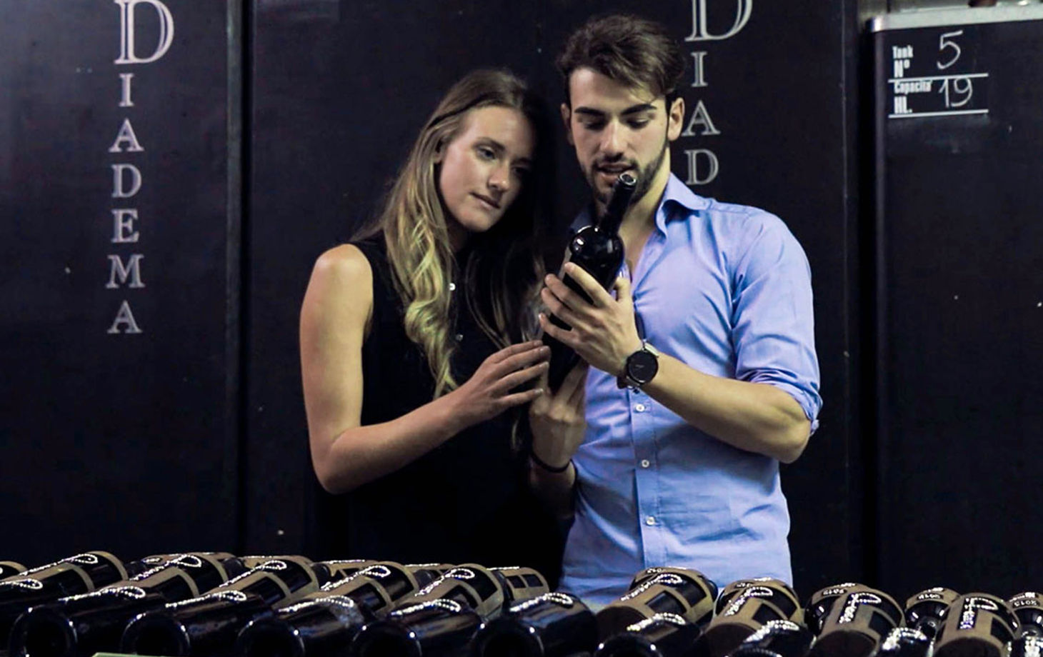 Chianti Full Immersive Wine & Olive Oil Experience